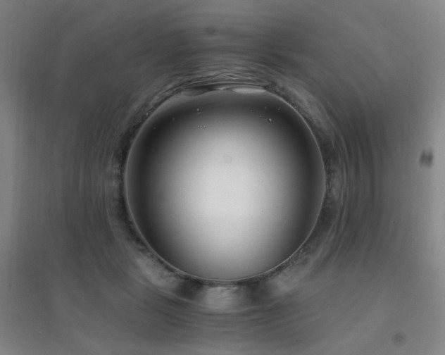 X0000094430461200711081229