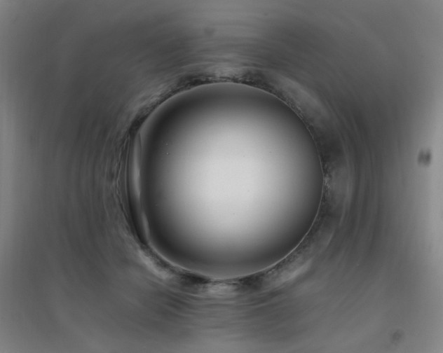 X0000094430462200711081229