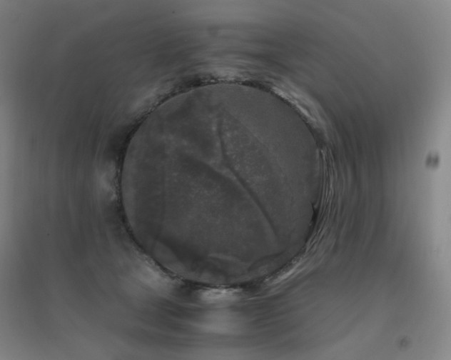 X0000094430465200711081229