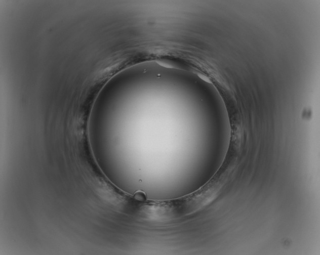 X0000094430466200711081230