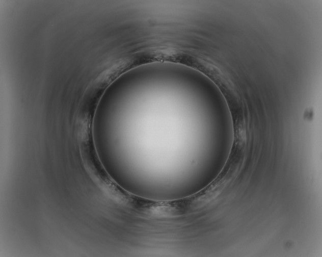 X0000094430468200711081230