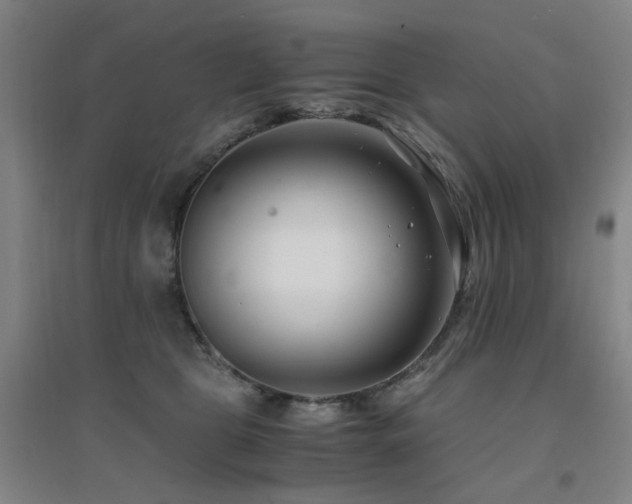 X0000094430469200711081230