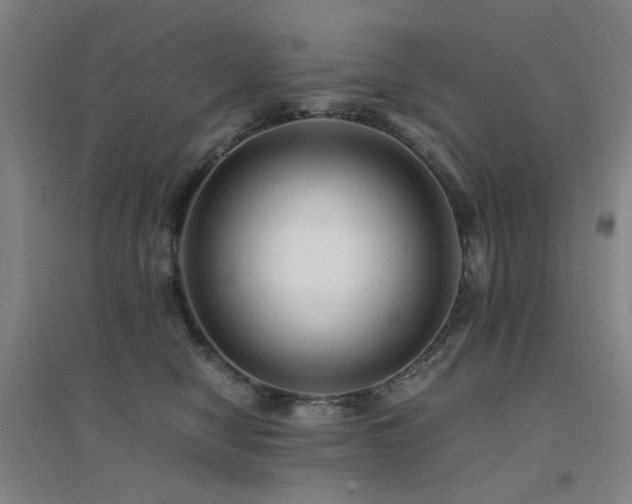X0000094430470200711081230