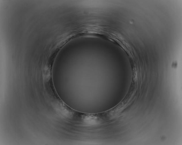 X0000094430471200711081230