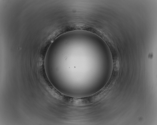 X0000094430472200711081230