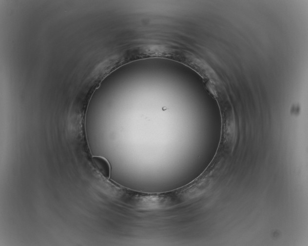 X0000094430473200711081230