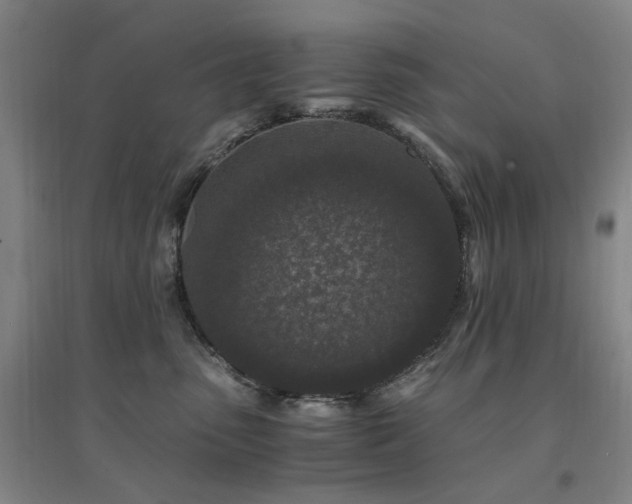 X0000094430475200711081230