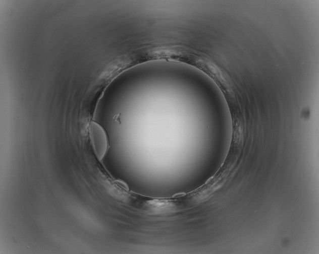 X0000094430477200711081230