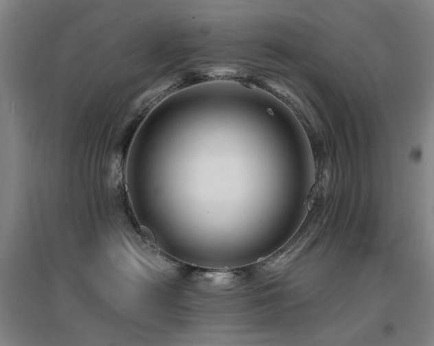 X0000094430478200711081230