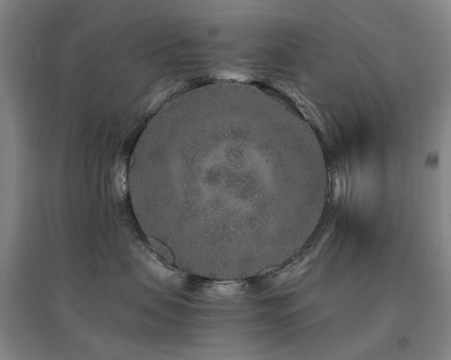 X0000094430479200711081230