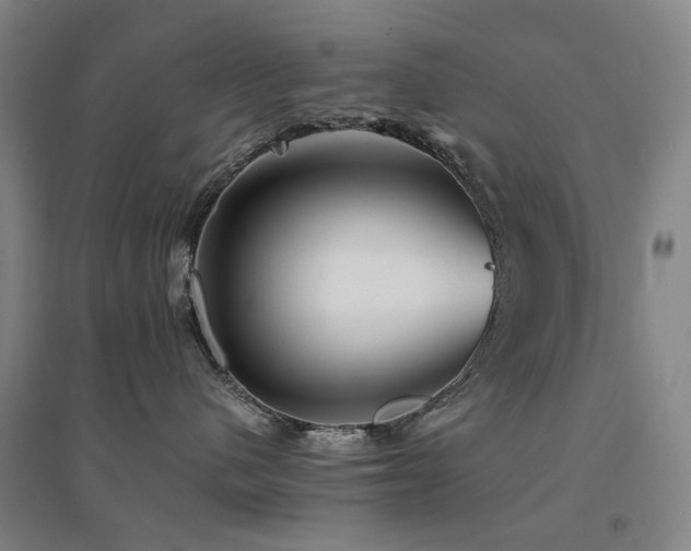 X0000094430480200711081230