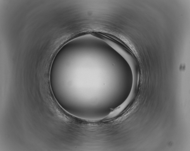 X0000094430481200711081229