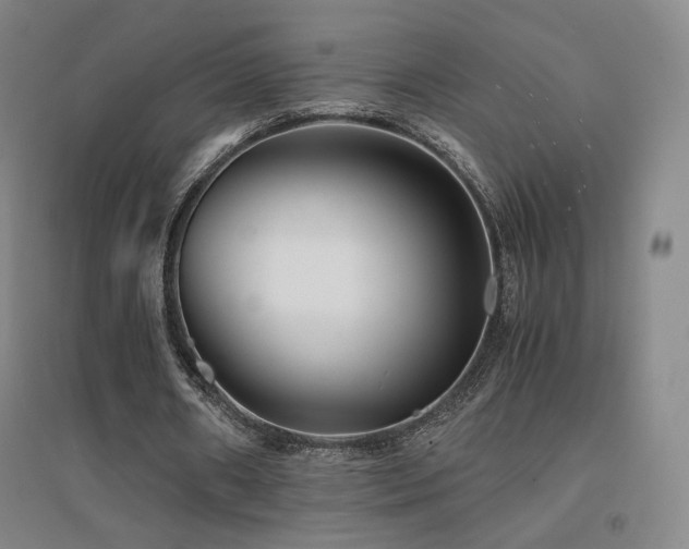 X0000094430482200711081229