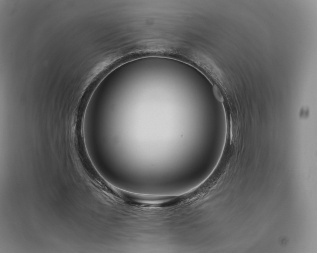 X0000094430483200711081229