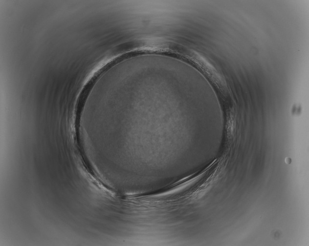 X0000094430484200711081229