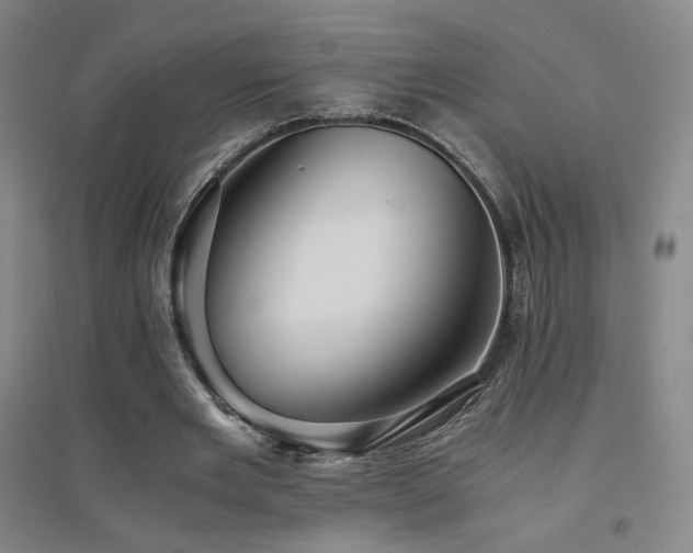 X0000094430485200711081229