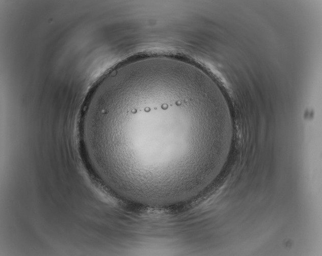 X0000094430487200711081229