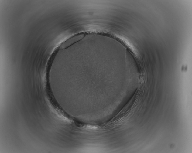 X0000094430488200711081229