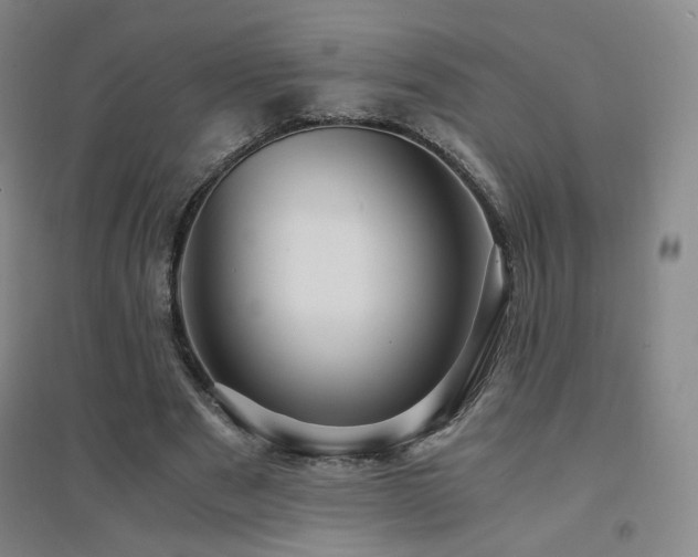 X0000094430489200711081229