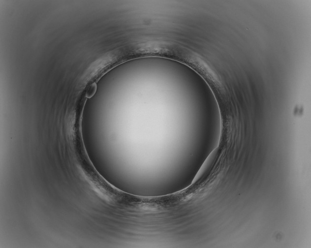 X0000094430490200711081229