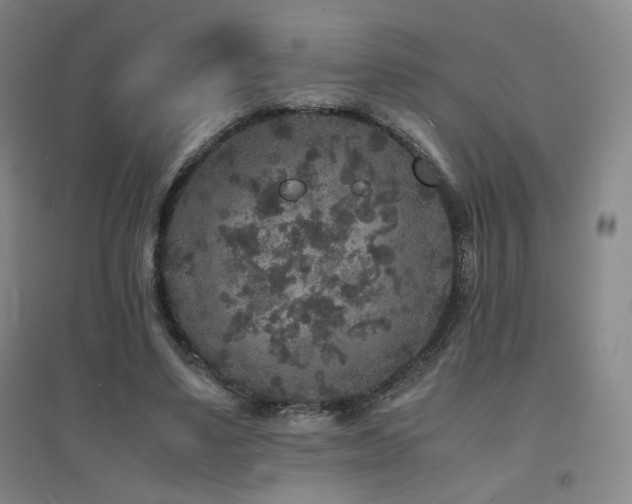 X0000094430491200711081229