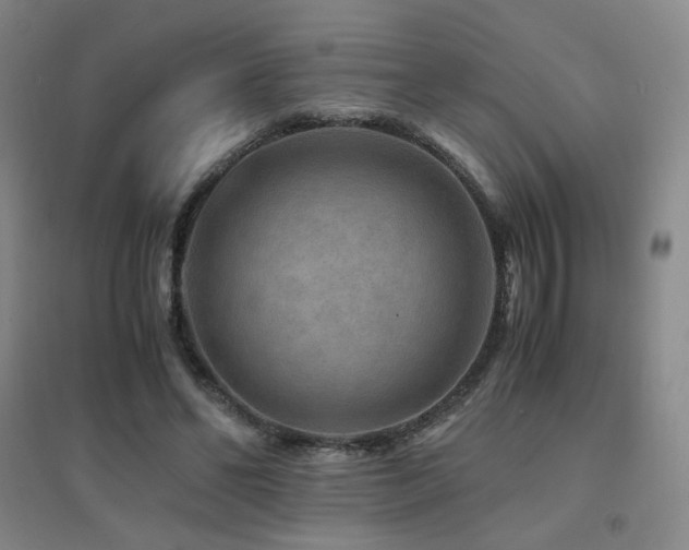 X0000094430494200711081229