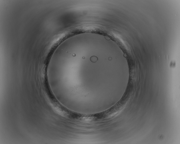 X0000094430495200711081229
