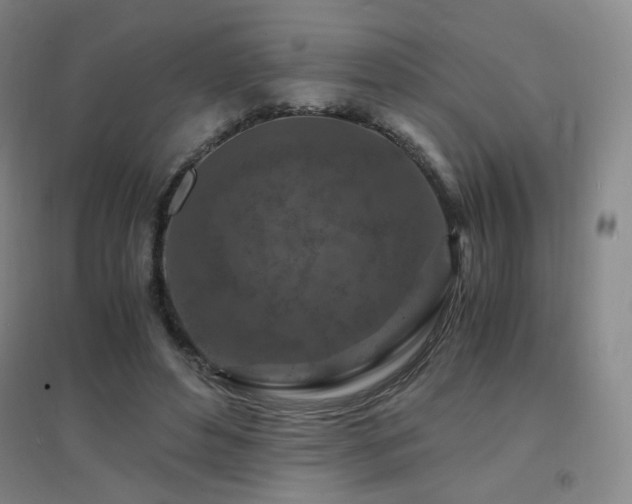 X0000094430496200711081229