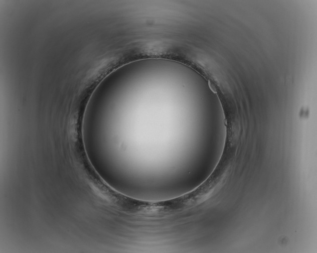 X0000094430497200711081229