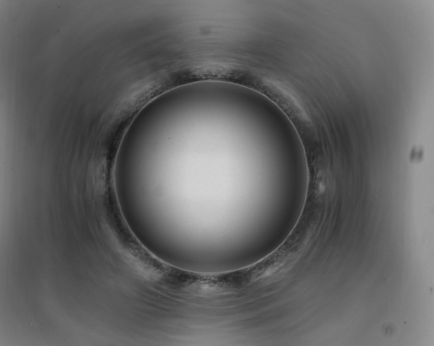 X0000094430498200711081229