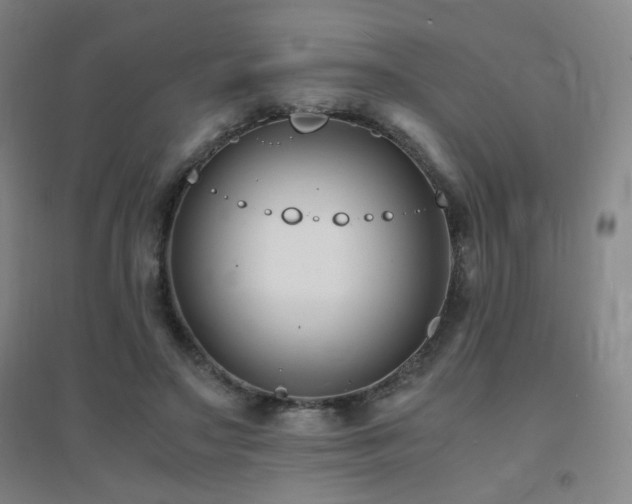 X0000094430499200711081229