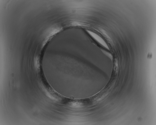 X0000094430500200711081229