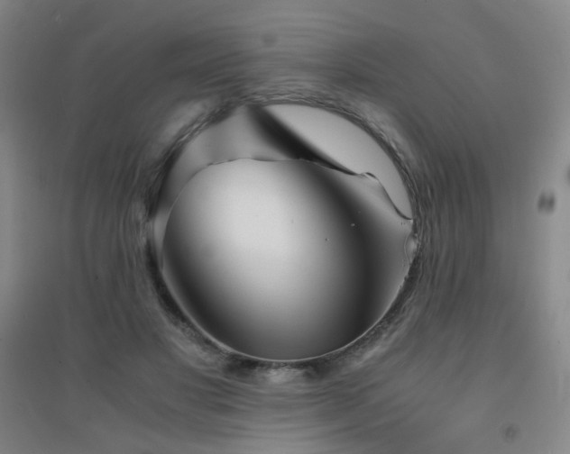 X0000094430501200711081229