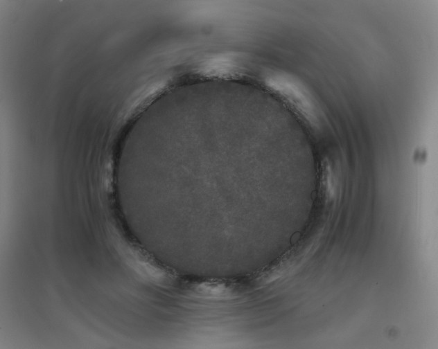 X0000094430502200711081229