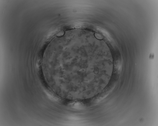 X0000094430503200711081229