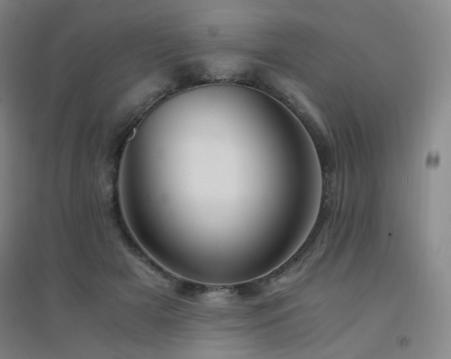 X0000094430505200711081229