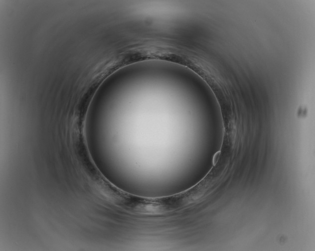 X0000094430506200711081229