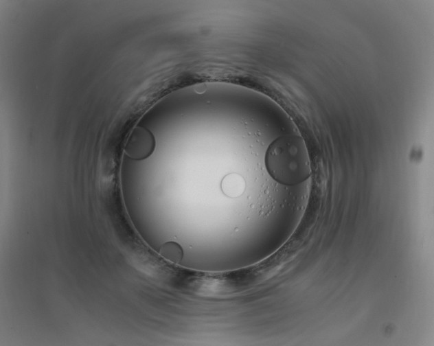 X0000094430507200711081229