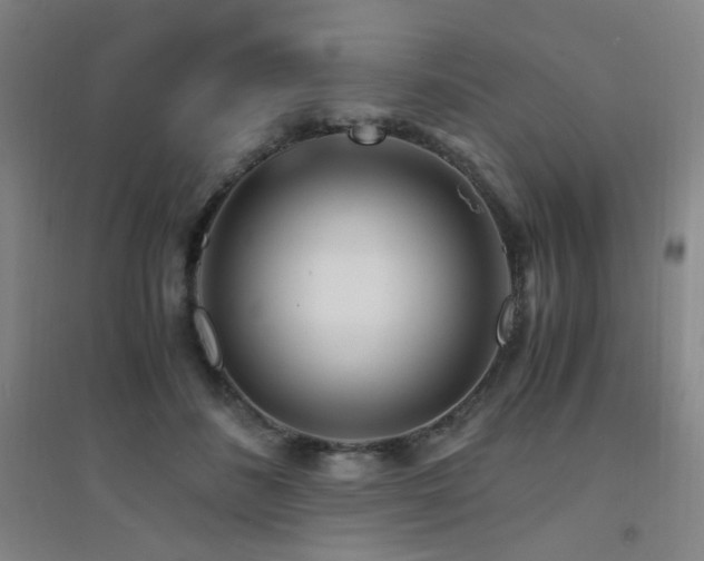 X0000094430508200711081229