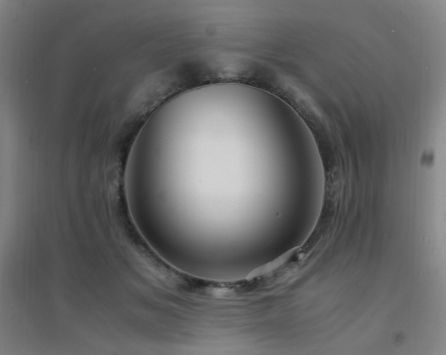 X0000094430509200711081229