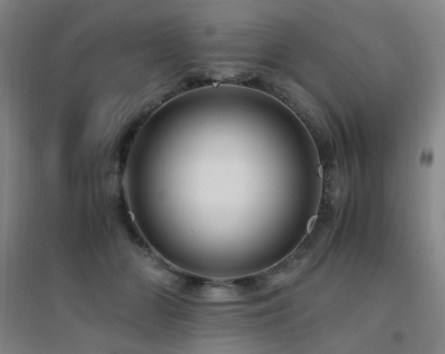 X0000094430510200711081229