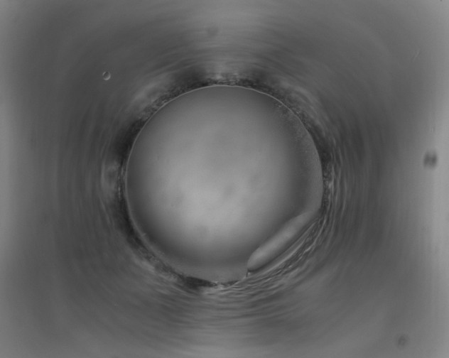 X0000094430511200711081229