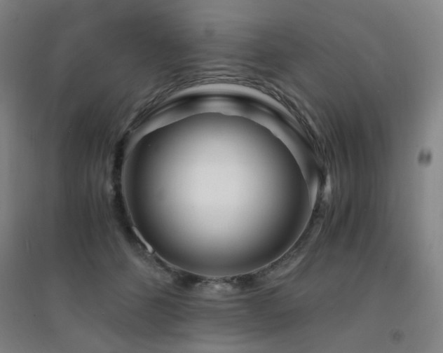 X0000094430512200711081229