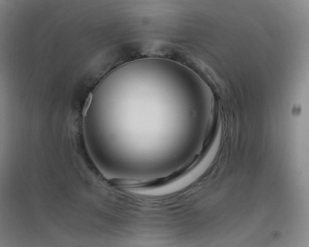 X0000094430513200711081229