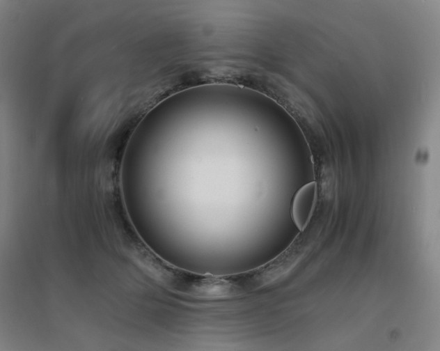 X0000094430514200711081229