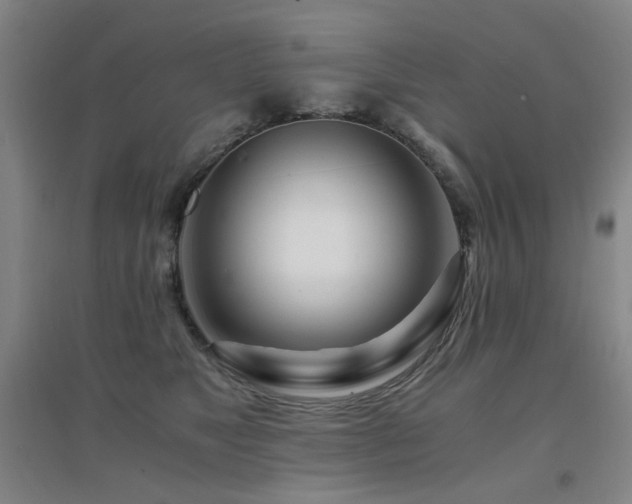 X0000094430517200711081229