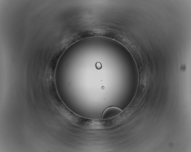 X0000094430518200711081229