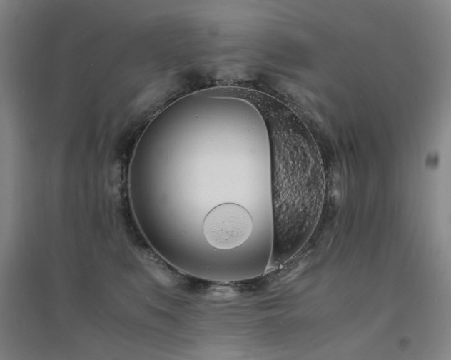 X0000094430519200711081229