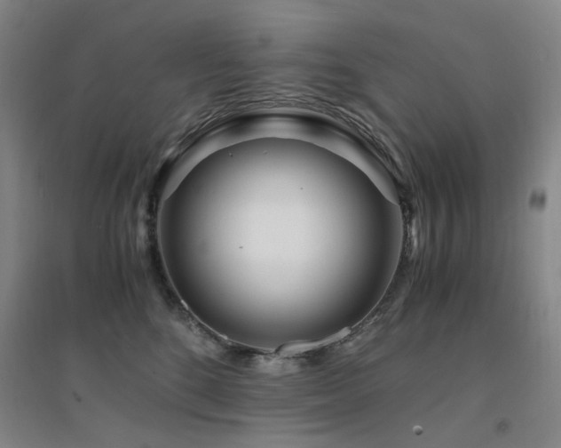 X0000094430520200711081228