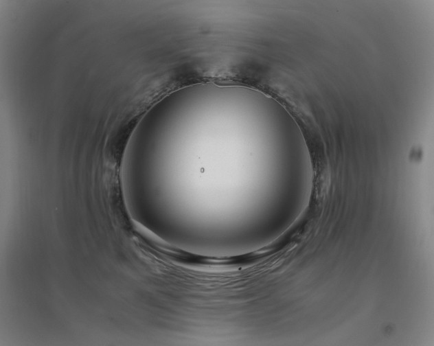 X0000094430521200711081228